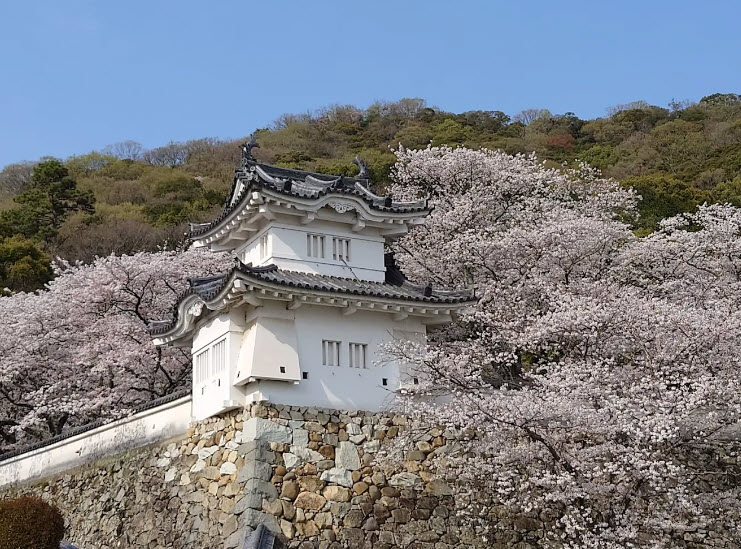 Tatsuno Castle, Japan
